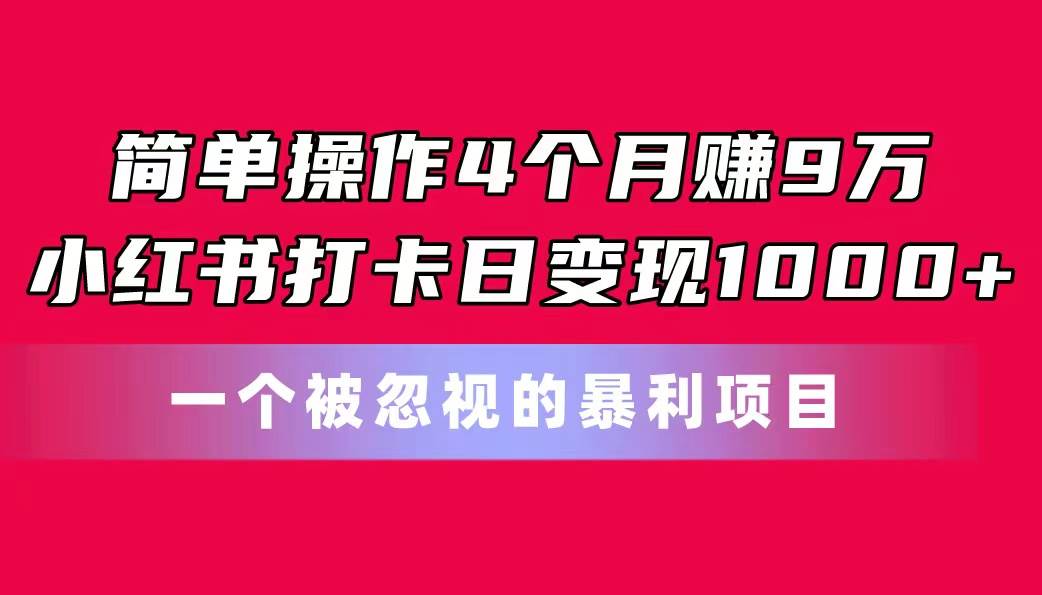 （11048期）简单操作4个月赚9万！小红书打卡日变现1000+！一个被忽视的暴力项目-三石资源库