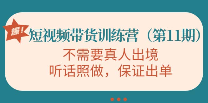 短视频带货训练营（第11期），不需要真人出境，听话照做，保证出单-三石资源库