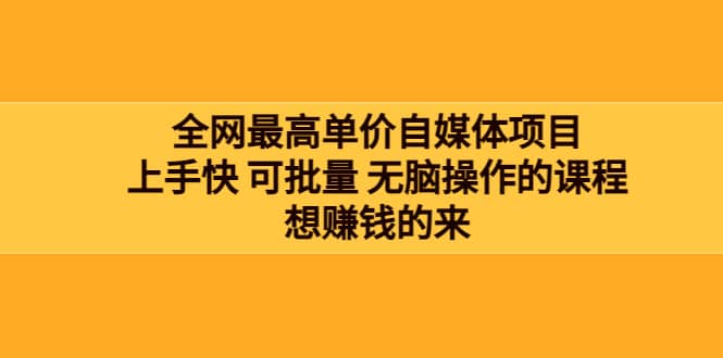 全网最单高价自媒体项目：上手快 可批量 无脑操作的课程，想赚钱的来-三石资源库
