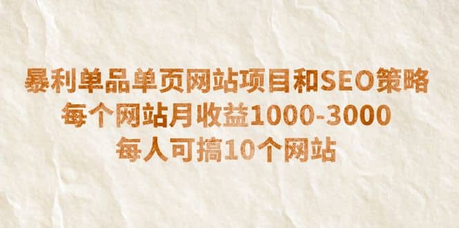 暴利单品单页网站项目和SEO策略 每个网站月收益1000-3000 每人可搞10个-三石资源库