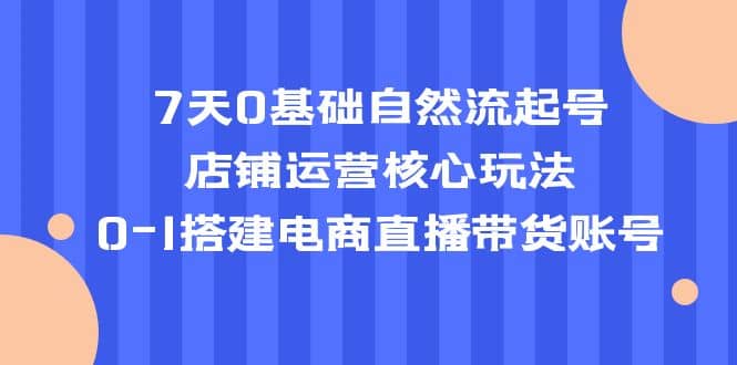 7天0基础自然流起号，店铺运营核心玩法，0-1搭建电商直播带货账号-三石资源库