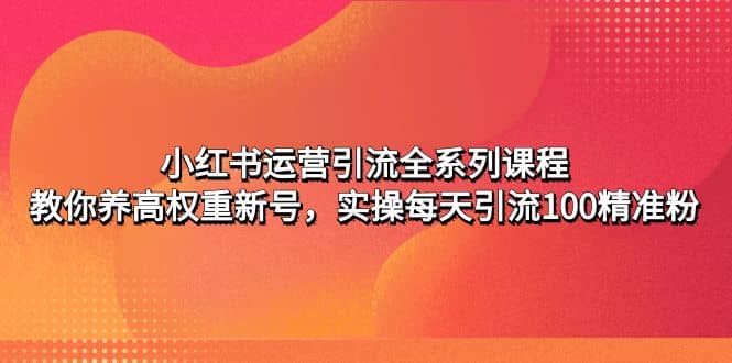 小红书运营引流全系列课程：教你养高权重新号-三石资源库