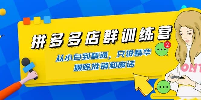 拼多多店群训练营：从小白到精通，只讲精华，剔除推销和废话-三石资源库