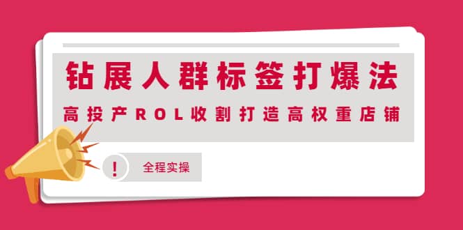 钻展人群标签打爆法，高投产ROL收割打造高权重店铺(全程实操)-三石淘金网