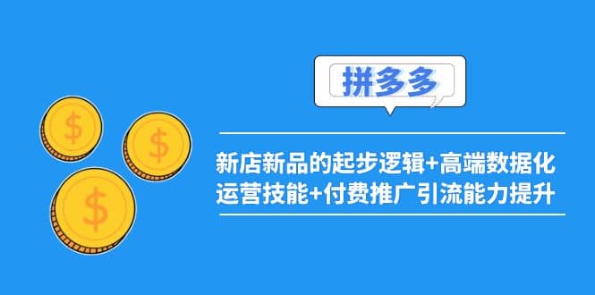 2022拼多多：新店新品的起步逻辑+高端数据化运营技能+付费推广引流能力提升-三石资源库