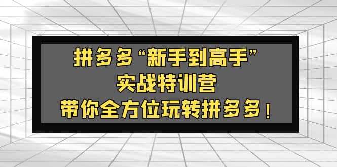 拼多多“新手到高手”实战特训营：带你全方位玩转拼多多-三石资源库
