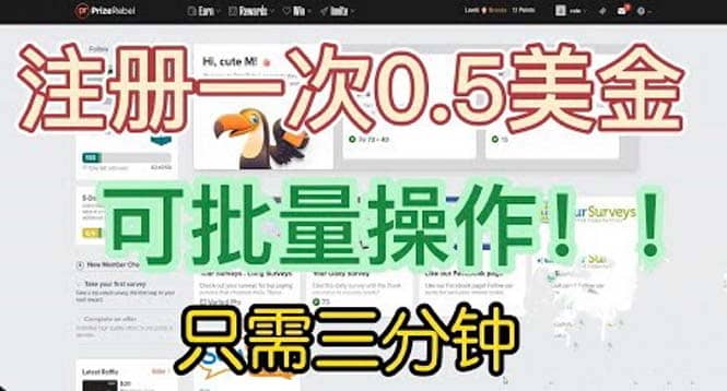 国外项目注册一次0.5美金 只需三分钟无脑操作 可批量放大 小白工作室福利-三石资源库