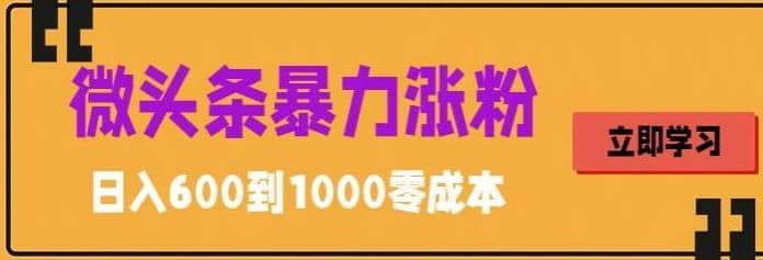 微头条暴力涨粉技巧搬运文案就能涨几万粉丝，简单0成本，日赚600-三石资源库