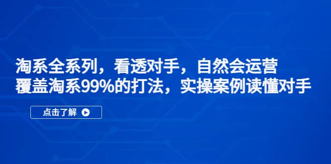 淘系全系列，看透对手，自然会运营，覆盖淘系99%·打法，实操案例读懂对手-三石资源库