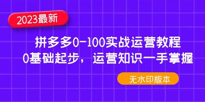 2023拼多多0-100实战运营教程，0基础起步，运营知识一手掌握（无水印）-三石资源库