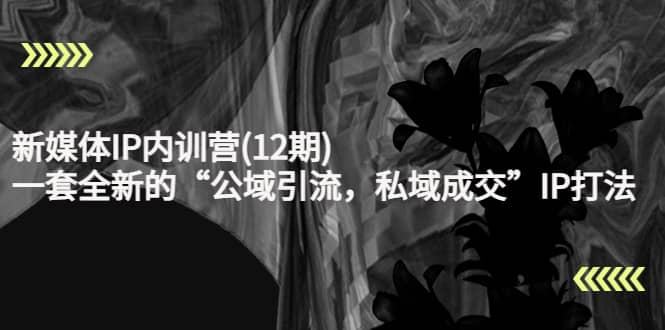 新媒体IP内训营(12期)，一套全新的“公域引流，私域成交”IP打法，直接带走-三石资源库