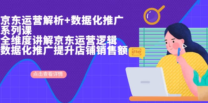 京东运营解析与数据化推广系列课，全维度讲解京东运营逻辑+数据化推广提升店铺销售额-三石资源库