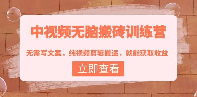 中视频无脑搬砖训练营：无需写文案，纯视频剪辑搬运，就能获取收益-三石资源库