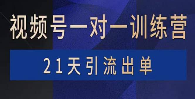 视频号训练营：带货，涨粉，直播，游戏，四大变现新方向，21天引流出单-三石资源库