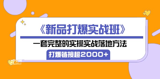 《新品打爆实战班》一套完整的实操实战落地方法，打爆链接超2000+（38节课)-三石淘金网
