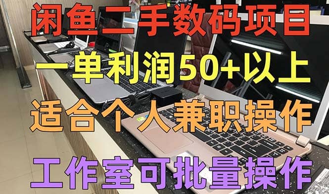 闲鱼二手数码项目，个人副业低保收入，工作室批量放大操作-三石资源库