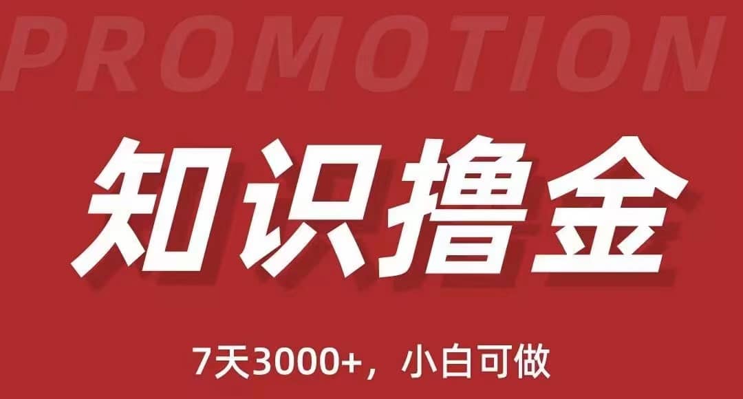 抖音知识撸金项目：执行力强当天见收益(教程+资料)-三石资源库