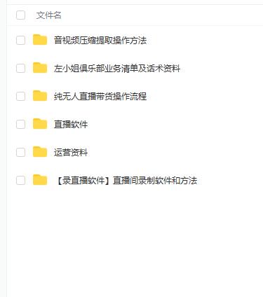 左小姐-直播带货俱乐部十三行、无人直播，全套教程附：工具、文档、话术资料-三石资源库