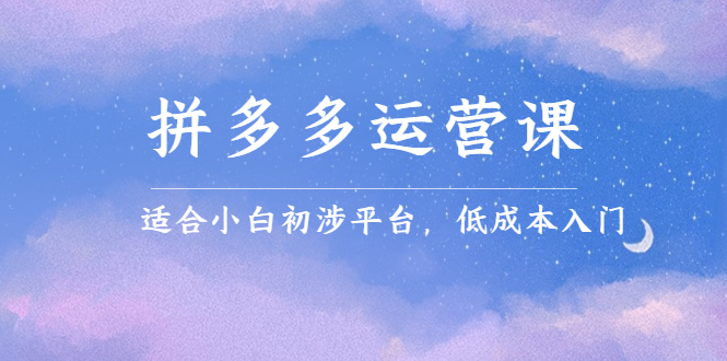 拼多多运营课，适合小白初涉平台，低成本入门-三石资源库