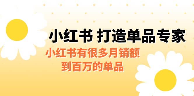 某公众号付费文章《小红书 打造单品专家》小红书有很多月销额到百万的单品-三石淘金网