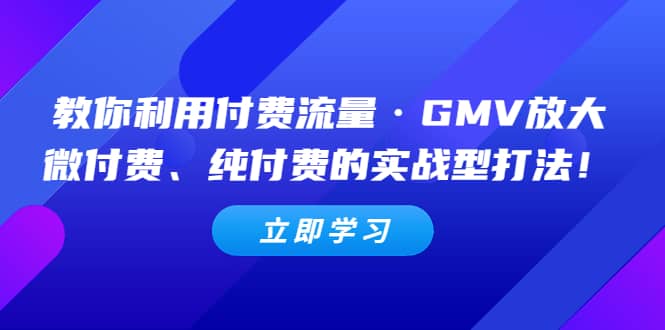 教你利用付费流量·GMV放大，微付费、纯付费的实战型打法-三石资源库