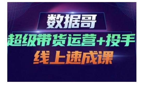 数据哥·超级带货运营+投手线上速成课，快速提升运营和熟悉学会投手技巧-三石淘金网