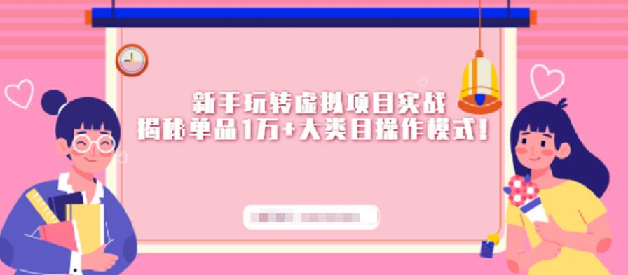 新手玩转虚拟项目实战，揭秘单品1万+大类目操作模式【视频课程】-三石资源库