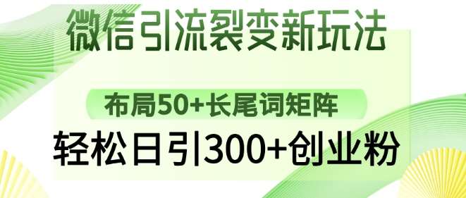微信引流裂变新玩法：布局50+长尾词矩阵，轻松日引300+创业粉-三石资源库