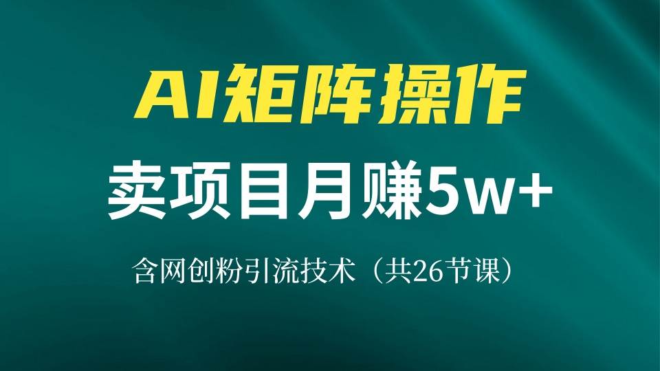 （13335期）网创IP打造课，借助AI卖项目月赚5万+，含引流技术（共26节课）-三石资源库
