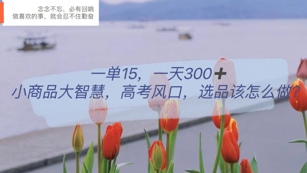 一单15，一天300+，小商品大智慧，高考风口，选品该怎么布局-三石资源库