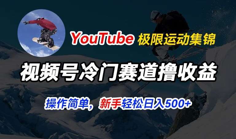 视频号冷门赛道撸收益，YouTube搬运极限运动集锦，暴力起号，操作简单流量高，轻松日入5张【揭秘】-三石资源库