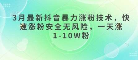 3月最新抖音暴力涨粉技术，快速涨粉安全无风险，一天涨1-10W粉-三石淘金网
