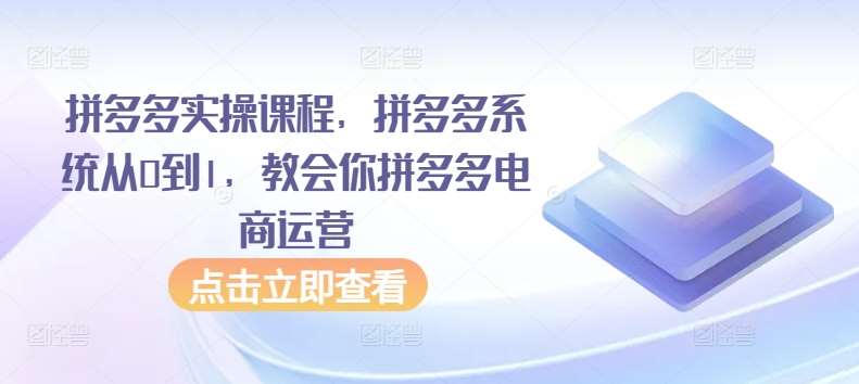 拼多多实操课程，拼多多系统从0到1，教会你拼多多电商运营-三石资源库