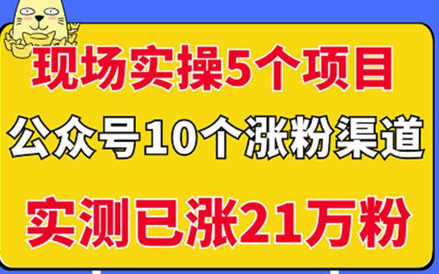 现场实操5个公众号项目，10个涨粉渠道，实测已涨21万粉！-三石资源库
