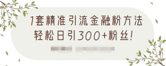1套精准引流金融粉方法，轻松日引300+粉丝【视频课程】-三石资源库