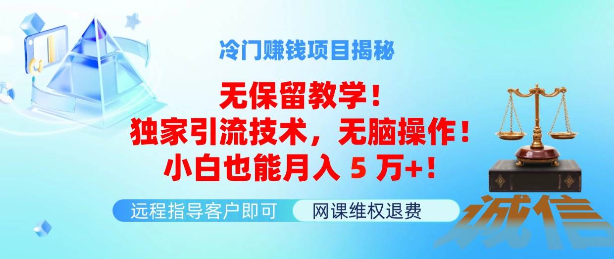 （11864期）冷门赚钱项目无保留教学！独家引流技术，无脑操作！小白也能月入5万+！-三石资源库