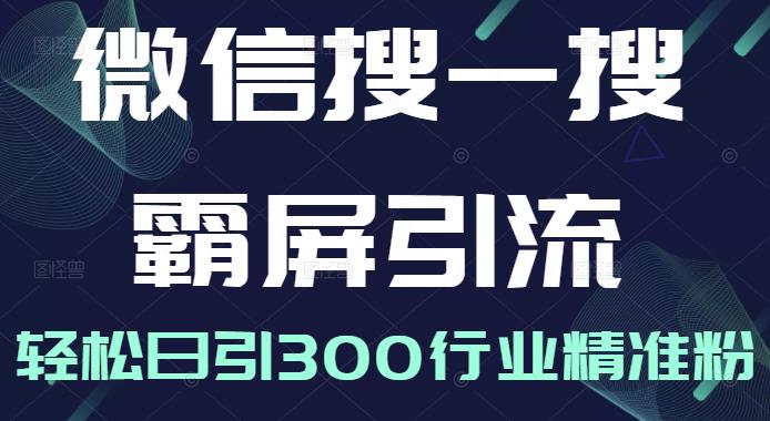 微信搜一搜霸屏引流课，打造被动精准引流系统，轻松日引300行业精准粉【无水印】-三石资源库