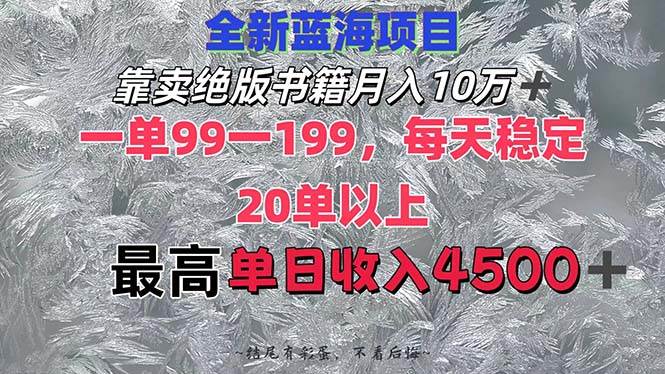 （12512期）靠卖绝版书籍月入10W+,一单99-199，一天平均20单以上，最高收益日入4500+-三石资源库
