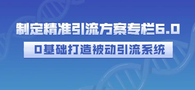 制定精准引流方案专栏6.0，0基础打造被动引流系统-三石淘金网