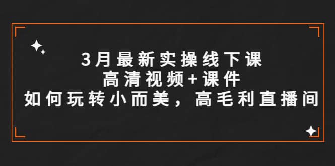 3月最新实操线下课高清视频+课件，如何玩转小而美，高毛利直播间-三石资源库