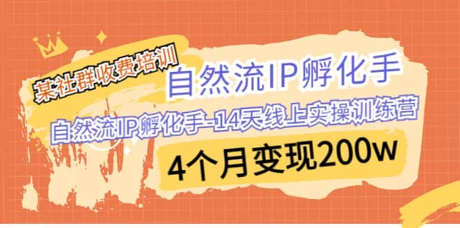 某社群收费培训：自然流IP 孵化手-14天线上实操训练营 4个月变现200w-三石资源库