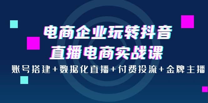 电商企业玩转抖音直播电商实战课：账号搭建+数据化直播+付费投流+金牌主播-三石资源库