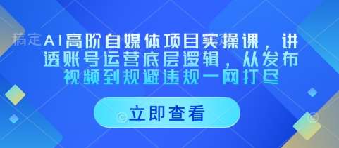 AI高阶自媒体项目实操课，讲透账号运营底层逻辑，从发布视频到规避违规一网打尽-三石资源库