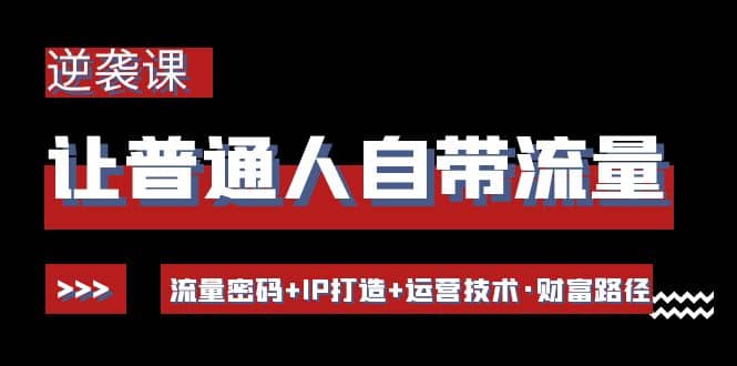 让普通人自带流量的逆袭课：流量密码+IP打造+运营技术·财富路径-三石资源库