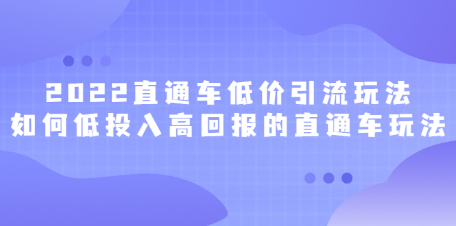 2022直通车低价引流玩法，教大家如何低投入高回报的直通车玩法-三石资源库