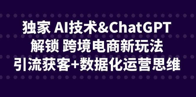 独家 AI技术ChatGPT解锁 跨境电商新玩法，引流获客+数据化运营思维-三石资源库