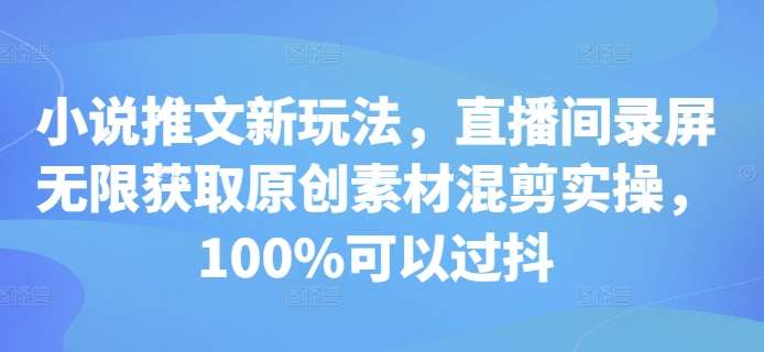 小说推文新玩法，直播间录屏无限获取原创素材混剪实操，100%可以过抖-三石淘金网