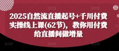 2025自然流直播起号+千川付费实操线上课(62节)，教你用付费给直播间做增量-三石淘金网