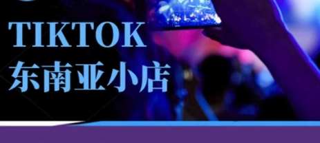 Tiktok东南亚跨境小店运营班，一门专业的TK小店运营培训课-三石资源库