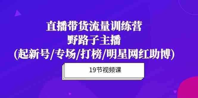 直播带货流量特训营，野路子主播(起新号/专场/打榜/明星网红助博)-三石淘金网